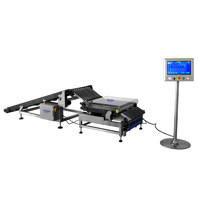 High Precision Multi-Lane Weight Checker for Cosmetics Pouch